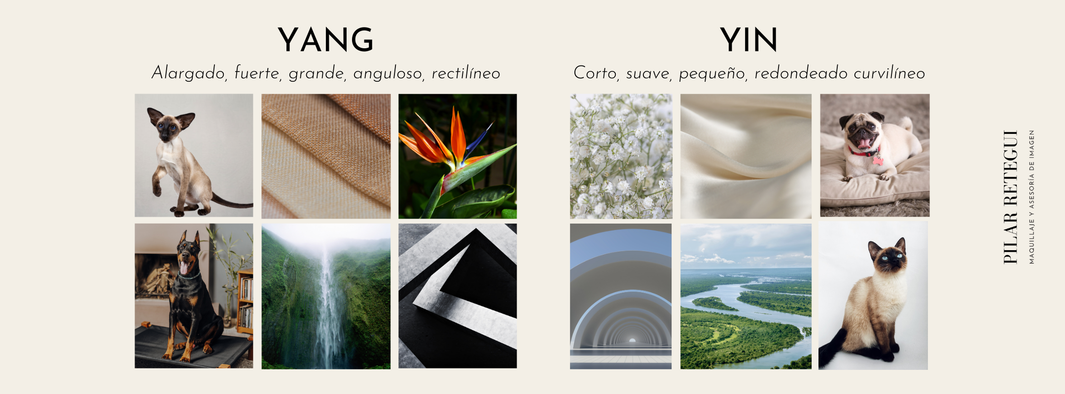 Esencias Yin y Yang en la naturaleza